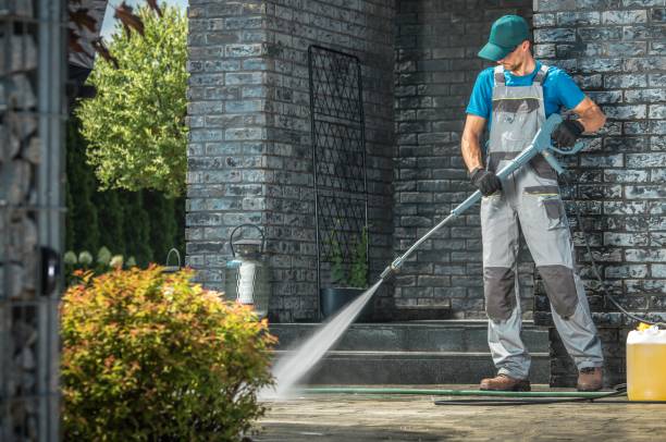Animal Enclosure Cleaning in Conroe, TX